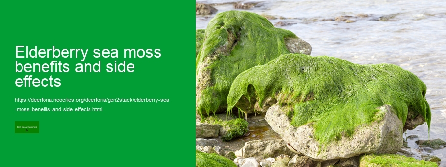 can you take sea moss and vitamins together